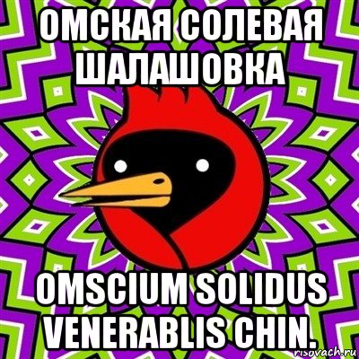 омская солевая шалашовка omscium solidus venerablis chin., Мем Омская птица