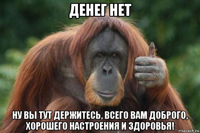 денег нет ну вы тут держитесь, всего вам доброго, хорошего настроения и здоровья!
