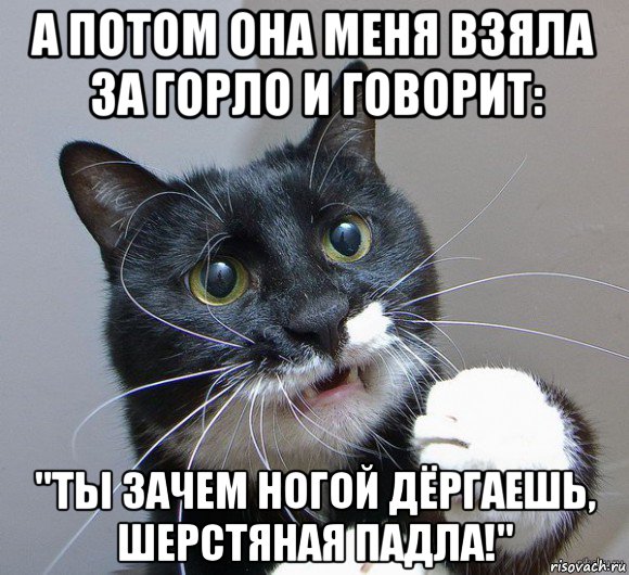 а потом она меня взяла за горло и говорит: "ты зачем ногой дёргаешь, шерстяная падла!"