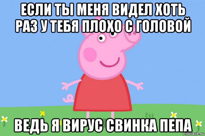 если ты меня видел хоть раз у тебя плохо с головой ведь я вирус свинка пепа, Мем Пеппа