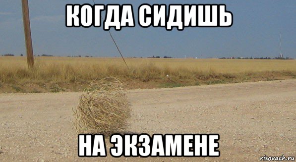 когда сидишь на экзамене, Мем перекати-поле одиночество