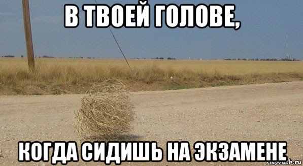в твоей голове, когда сидишь на экзамене, Мем перекати-поле одиночество