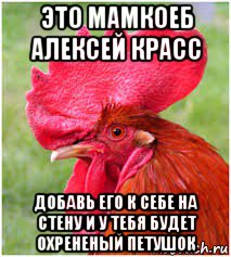 это мамкоеб алексей красс добавь его к себе на стену и у тебя будет охрененый петушок