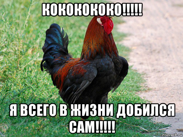 кококококо!!!!! я всего в жизни добился сам!!!!!