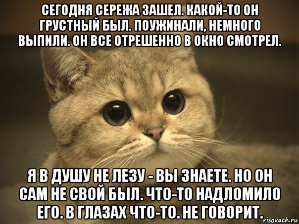 сегодня сережа зашел. какой-то он грустный был. поужинали, немного выпили. он все отрешенно в окно смотрел. я в душу не лезу - вы знаете. но он сам не свой был. что-то надломило его. в глазах что-то. не говорит., Мем Пидрила ебаная котик