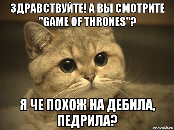 здравствуйте! а вы смотрите "game of thrones"? я че похож на дебила, педрила?, Мем Пидрила ебаная котик