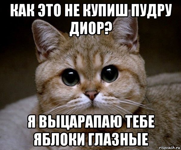 как это не купиш пудру диор? я выцарапаю тебе яблоки глазные, Мем Пидрила Ебаная