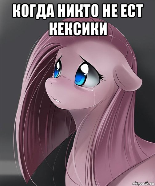 когда никто не ест кексики 