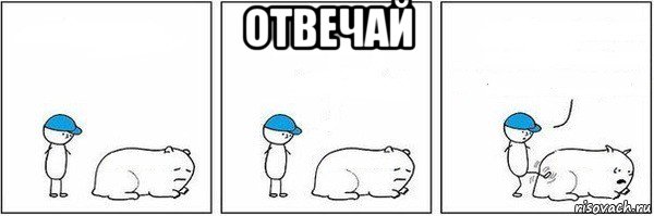 отвечай 