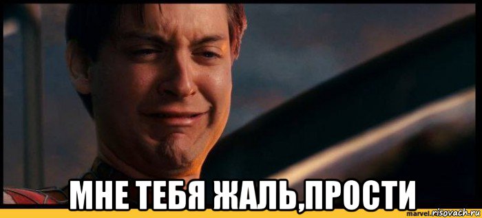 piter-parker_115561288_orig_.jpg