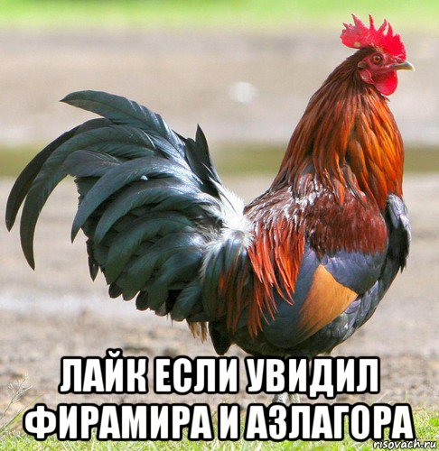  лайк если увидил фирамира и азлагора