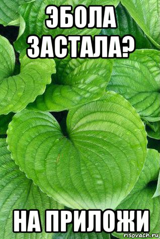 эбола застала? на приложи