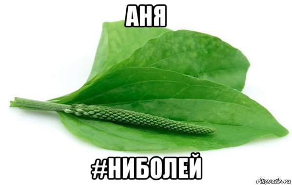 аня #ниболей