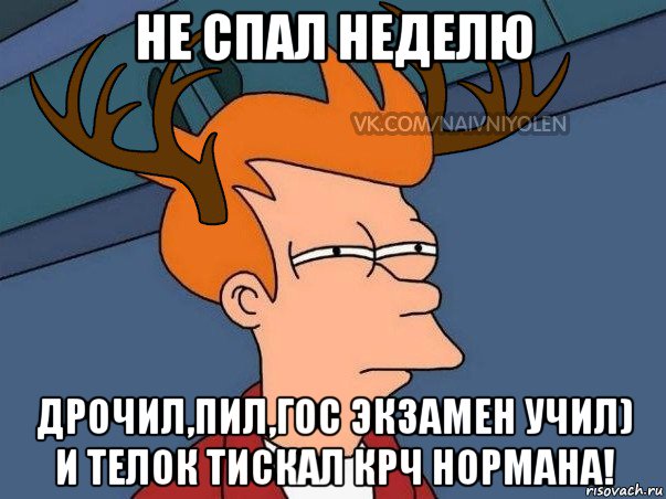 не спал неделю дрочил,пил,гос экзамен учил) и телок тискал крч нормана!, Мем  Подозрительный олень