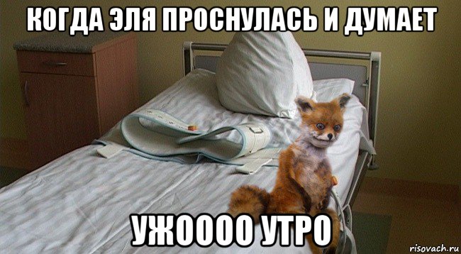 когда эля проснулась и думает ужоооо утро