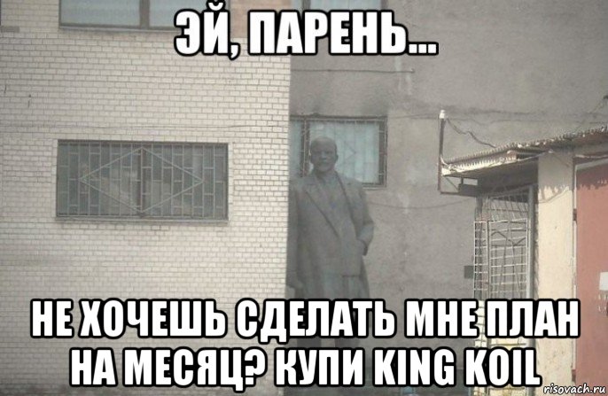  не хочешь сделать мне план на месяц? купи king koil, Мем псс парень