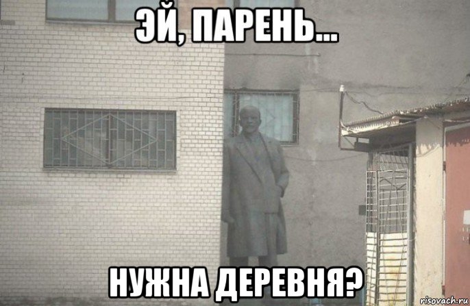  нужна деревня?, Мем псс парень