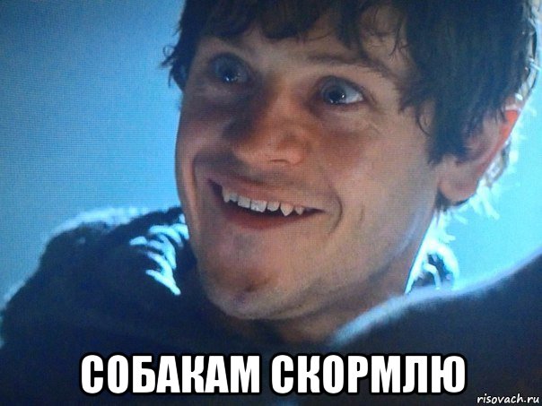  собакам скормлю