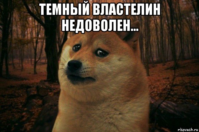 темный властелин недоволен... , Мем SAD DOGE