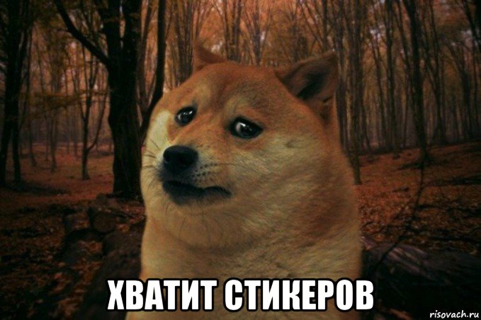  хватит стикеров, Мем SAD DOGE