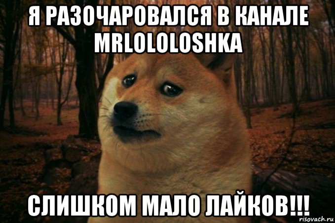 я разочаровался в канале mrlololoshka слишком мало лайков!!!, Мем SAD DOGE