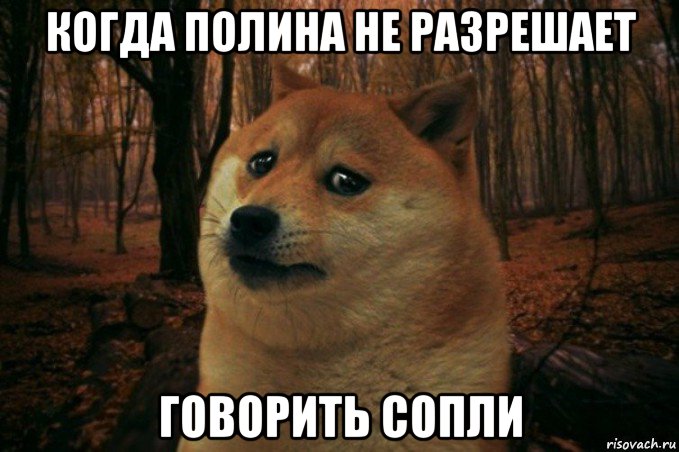 когда полина не разрешает говорить сопли, Мем SAD DOGE