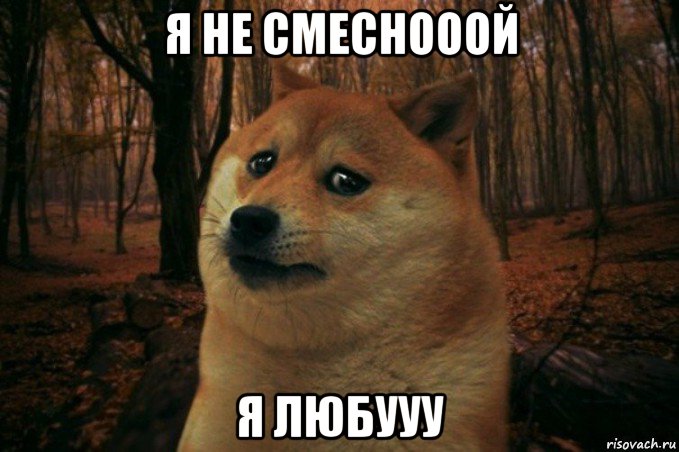 я не смеснооой я любууу, Мем SAD DOGE