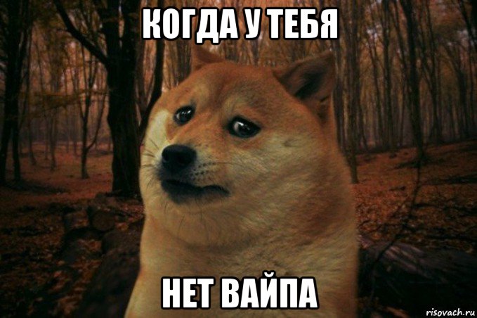 когда у тебя нет вайпа, Мем SAD DOGE