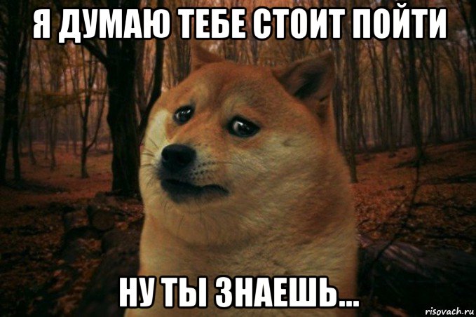 я думаю тебе стоит пойти ну ты знаешь..., Мем SAD DOGE