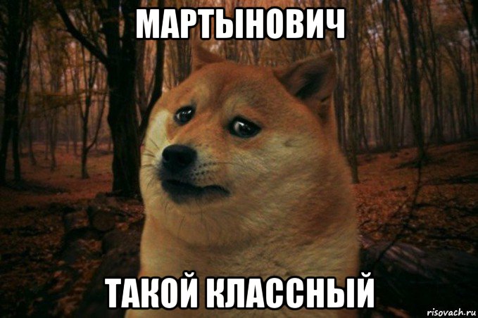 мартынович такой классный, Мем SAD DOGE