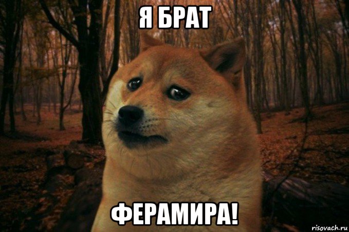 я брат ферамира!, Мем SAD DOGE