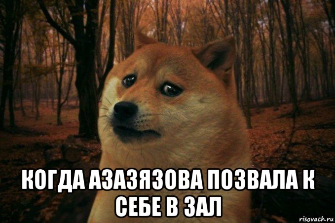  когда азазязова позвала к себе в зал, Мем SAD DOGE