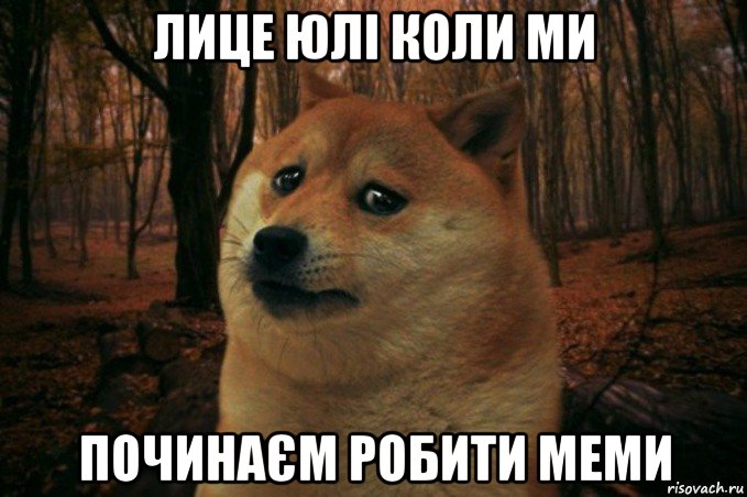 лице юлі коли ми починаєм робити меми, Мем SAD DOGE