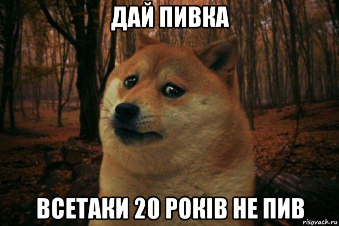 дай пивка всетаки 20 років не пив, Мем SAD DOGE