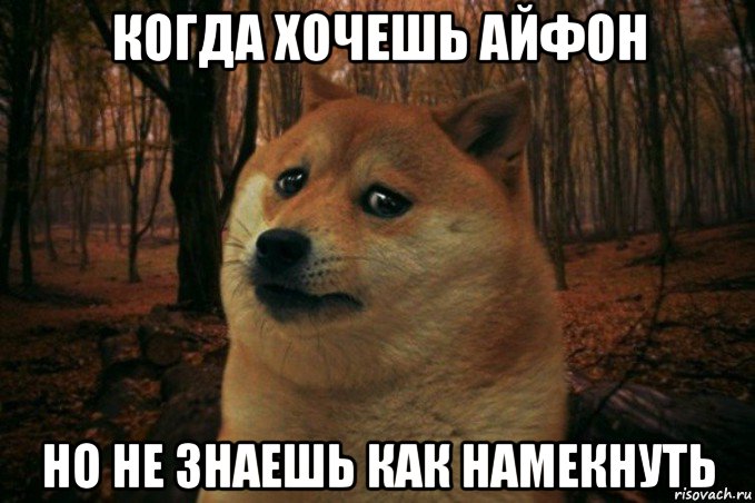 когда хочешь айфон но не знаешь как намекнуть, Мем SAD DOGE