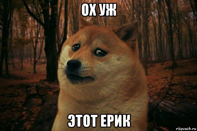 ох уж этот ерик, Мем SAD DOGE