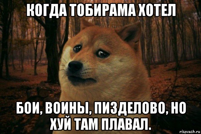 когда тобирама хотел бои, воины, пизделово, но хуй там плавал., Мем SAD DOGE