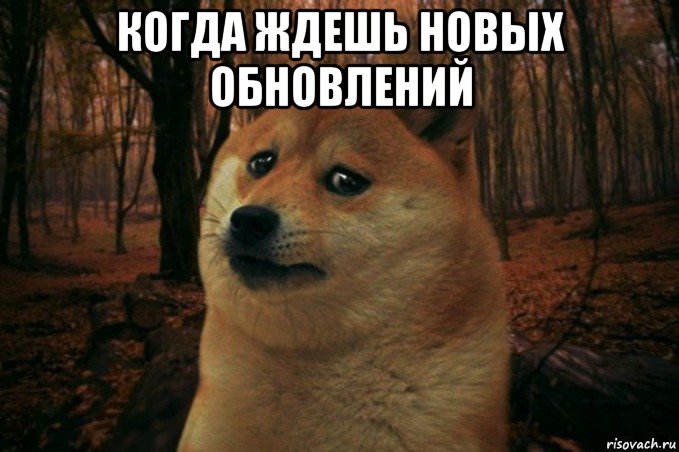 когда ждешь новых обновлений , Мем SAD DOGE