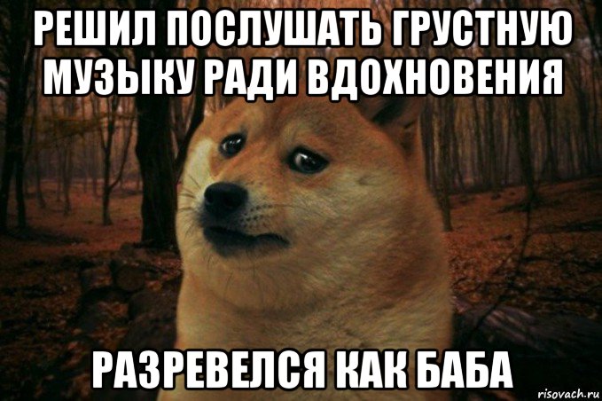 решил послушать грустную музыку ради вдохновения разревелся как баба, Мем SAD DOGE