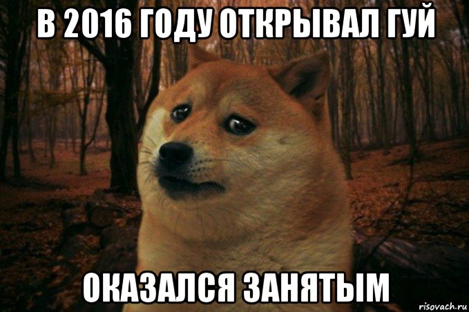 в 2016 году открывал гуй оказался занятым, Мем SAD DOGE