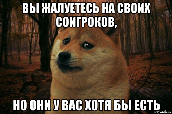 вы жалуетесь на своих соигроков, но они у вас хотя бы есть, Мем SAD DOGE