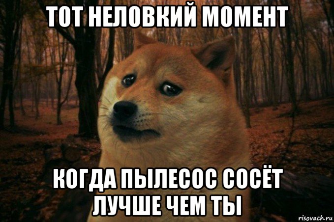 тот неловкий момент когда пылесос сосёт лучше чем ты, Мем SAD DOGE