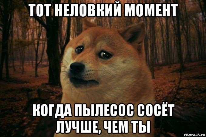 тот неловкий момент когда пылесос сосёт лучше, чем ты, Мем SAD DOGE