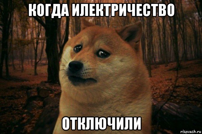 когда илектричество отключили, Мем SAD DOGE