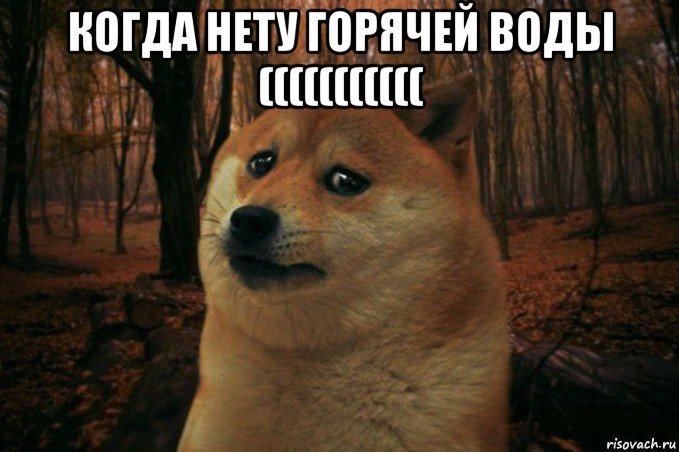 когда нету горячей воды ((((((((((( , Мем SAD DOGE