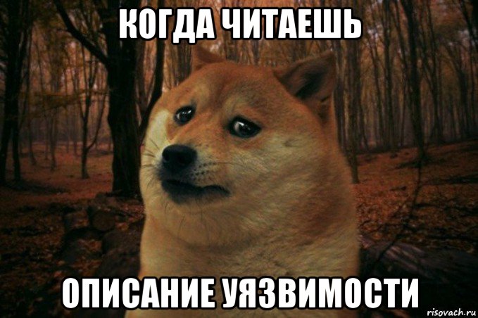 когда читаешь описание уязвимости, Мем SAD DOGE