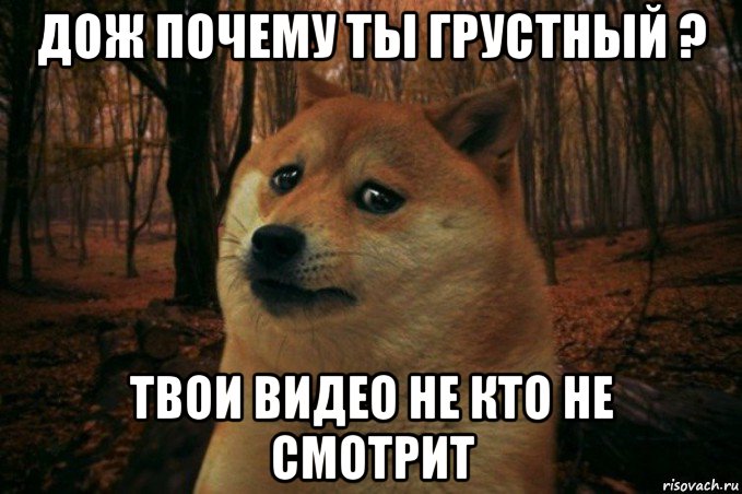 дож почему ты грустный ? твои видео не кто не смотрит, Мем SAD DOGE