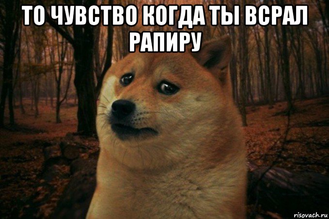 то чувство когда ты всрал рапиру , Мем SAD DOGE