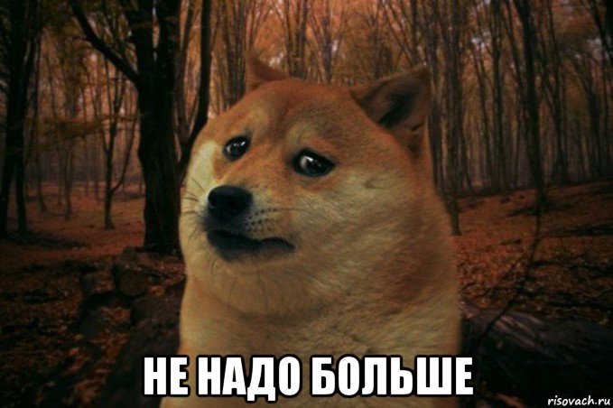  не надо больше, Мем SAD DOGE