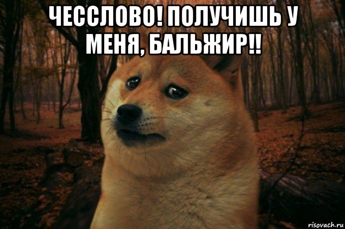 чесслово! получишь у меня, бальжир!! , Мем SAD DOGE